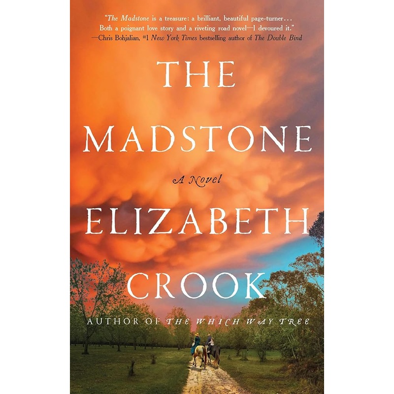 The Madstone: A Novel