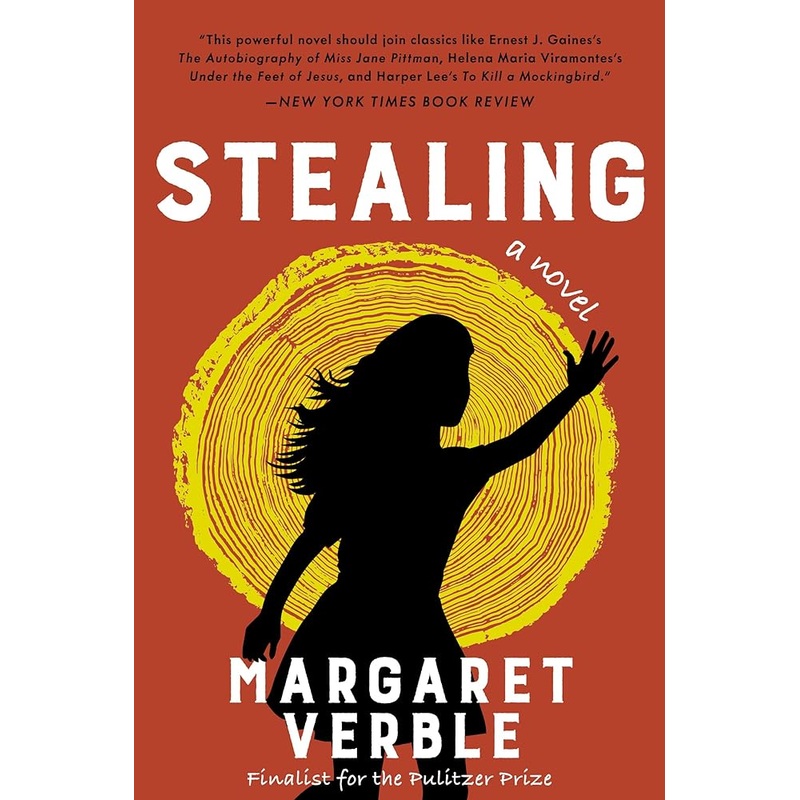 Stealing: A Novel