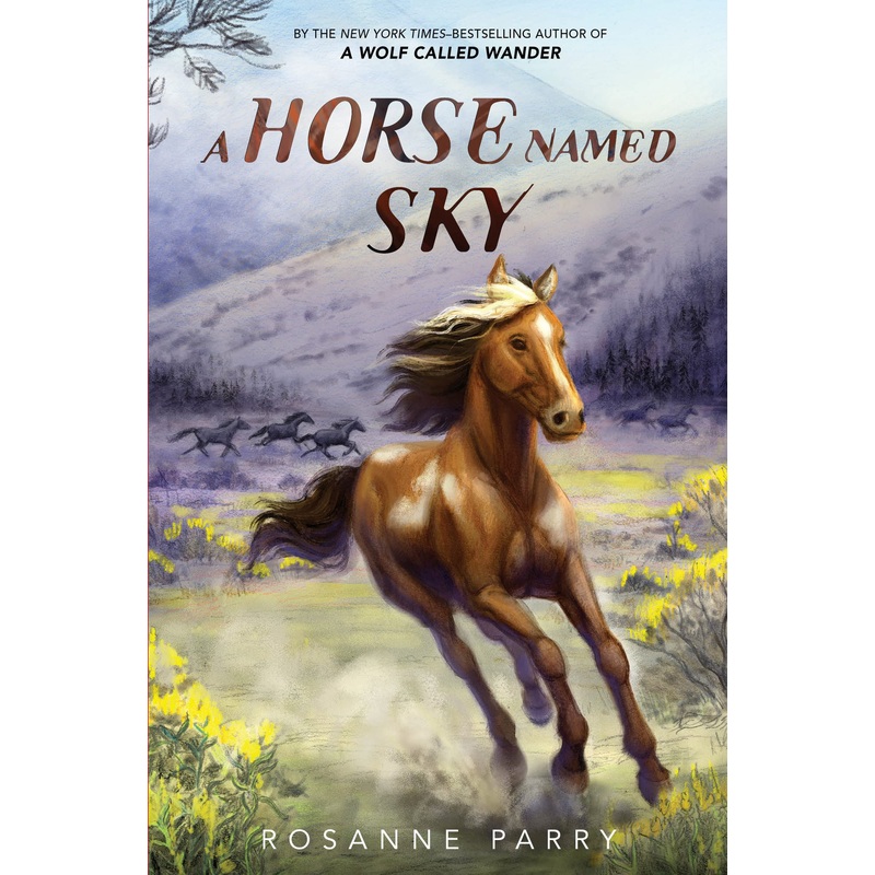 A Horse Named Sky Hardcover
