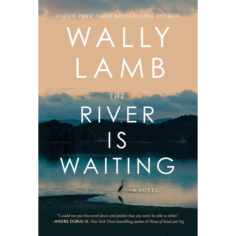 The River Is Waiting: A Novel Hardcover