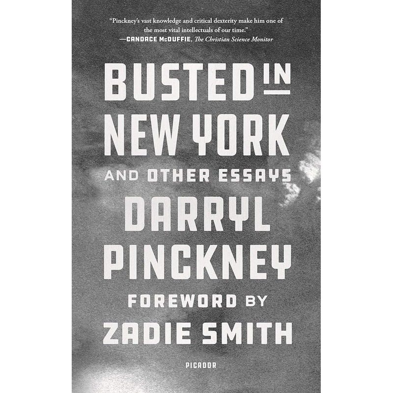 Busted in New York and Other Essays