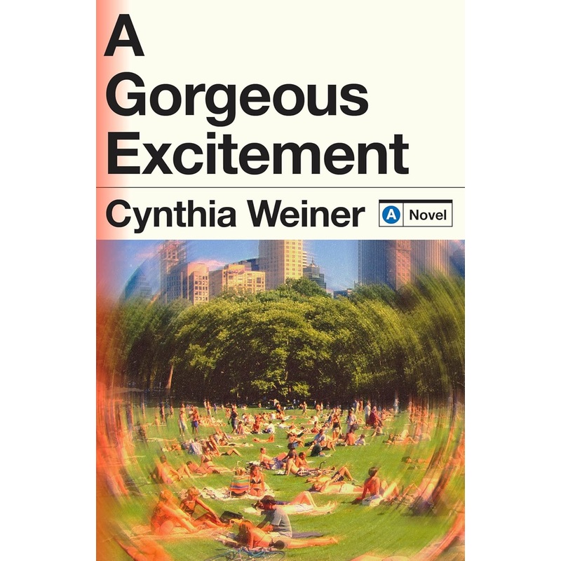 A Gorgeous Excitement: A Novel Hardcover