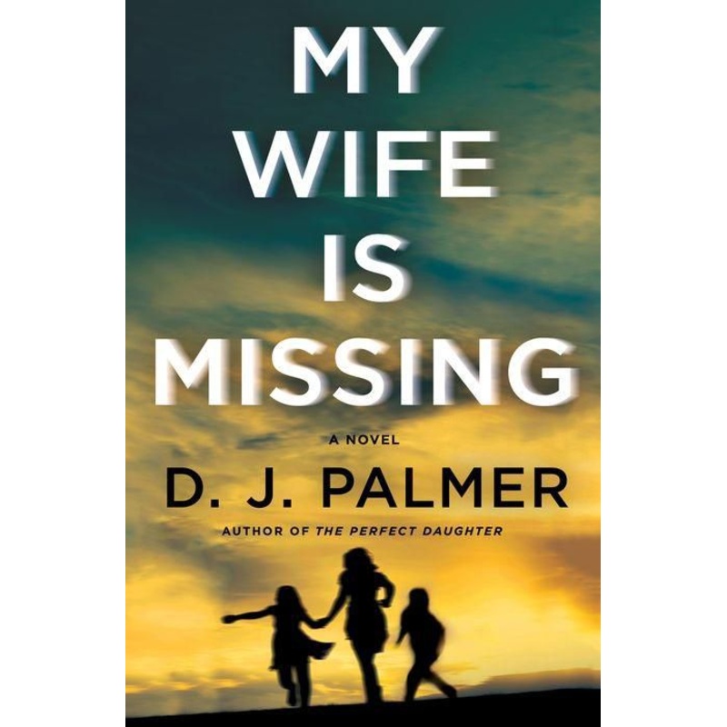 My Wife Is Missing: A Novel Paperback
