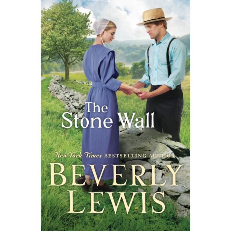 The Stone Wall Paperback