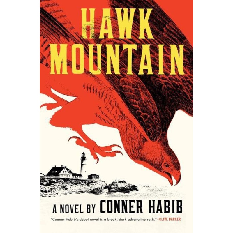 Hawk Mountain: A Novel Hardcover