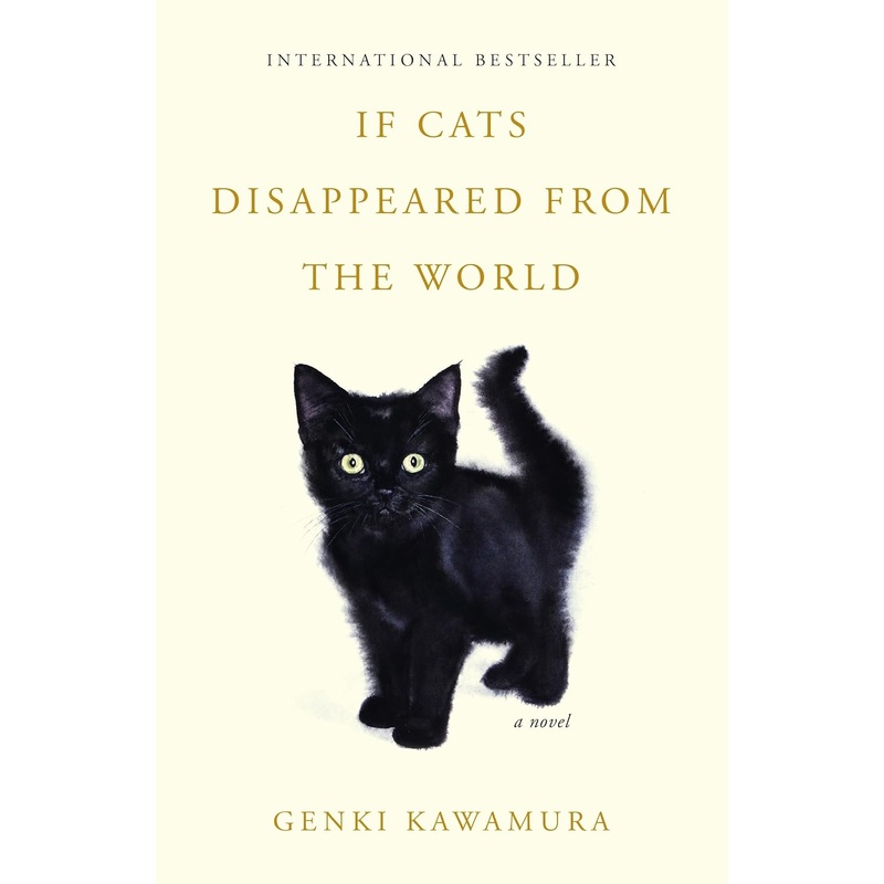 If Cats Disappeared from the World Paperback