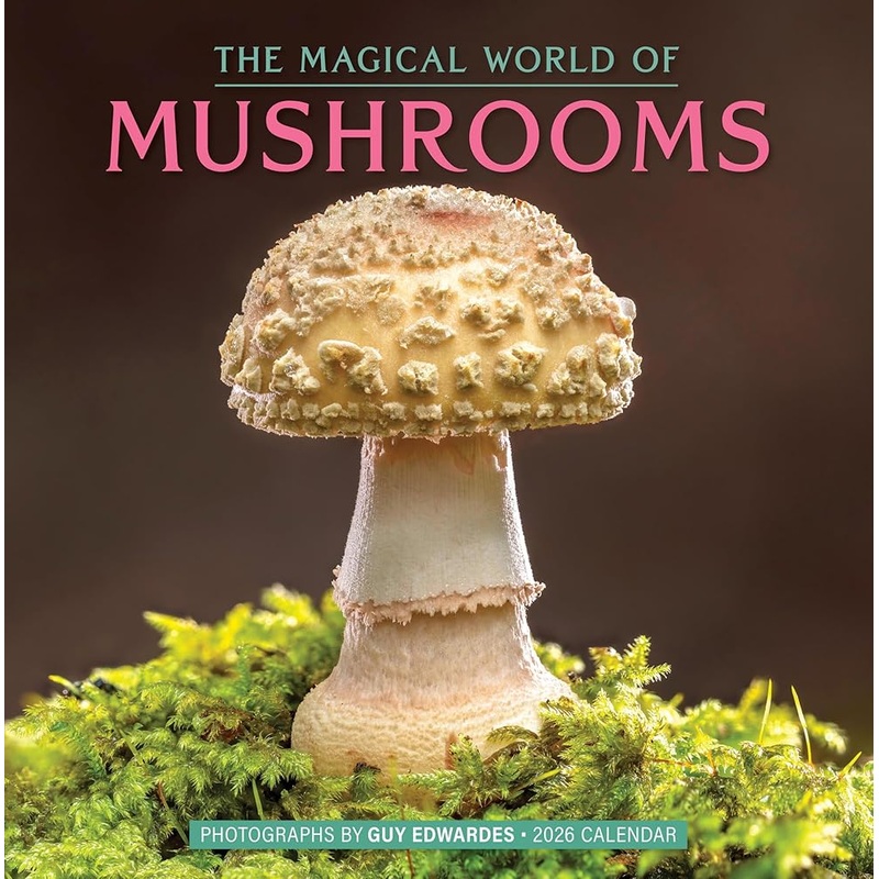 The Magical World of Mushrooms Wall Calendar 2026