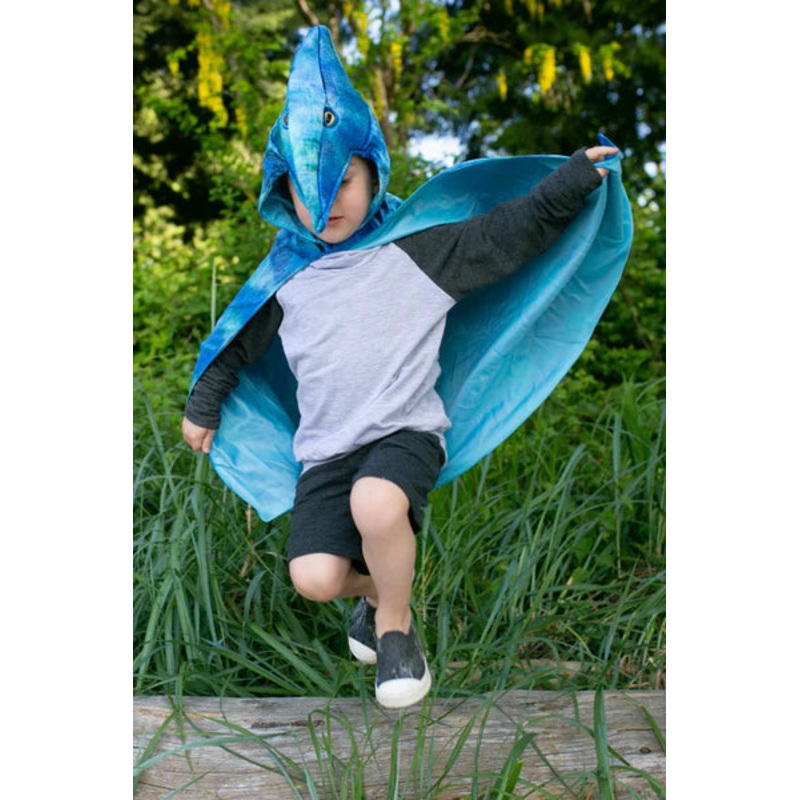 Pterodactyl Hooded Dinosaur Cape, 4-5