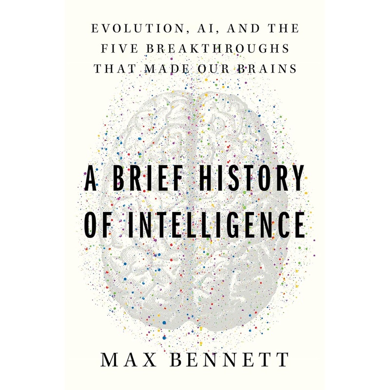 A Brief History of Intelligence: Evolution, Ai, and the Five Breakthroughs That Made Our Brains Hardcover