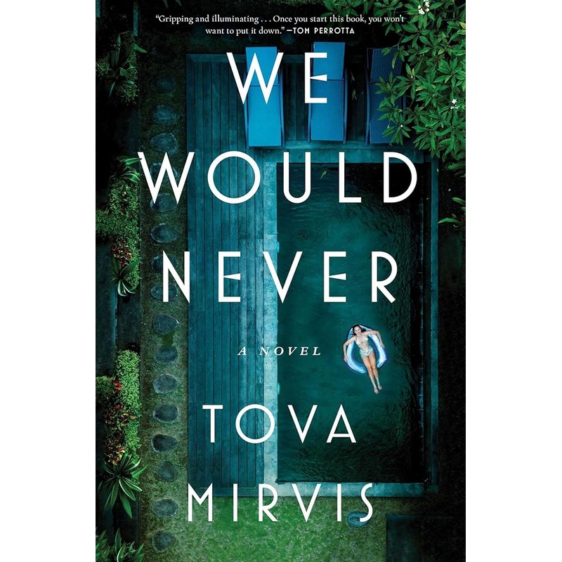 We Would Never: A Novel