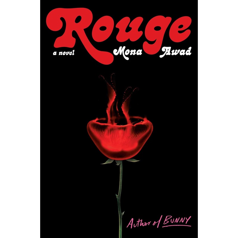 Rouge: A Novel Hardcover