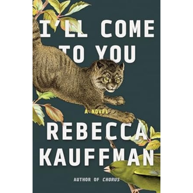 I’ll Come to You: A Novel by Rebecca Kaffman