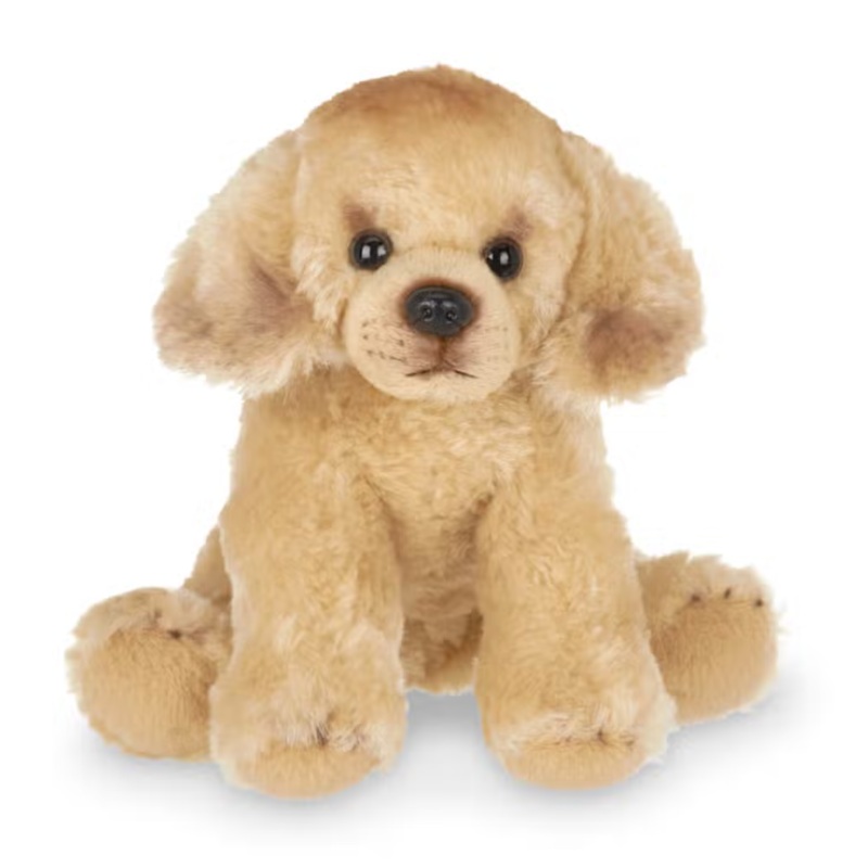 Lil’ Goldie the Golden Retriever