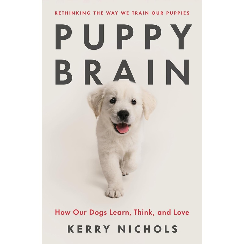 Puppy Brain: How Our Dogs Learn, Think, and Love Hardcover
