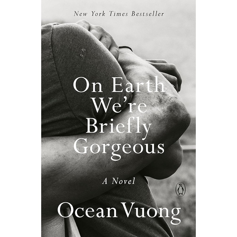 On Earth We’re Briefly Gorgeous: A Novel