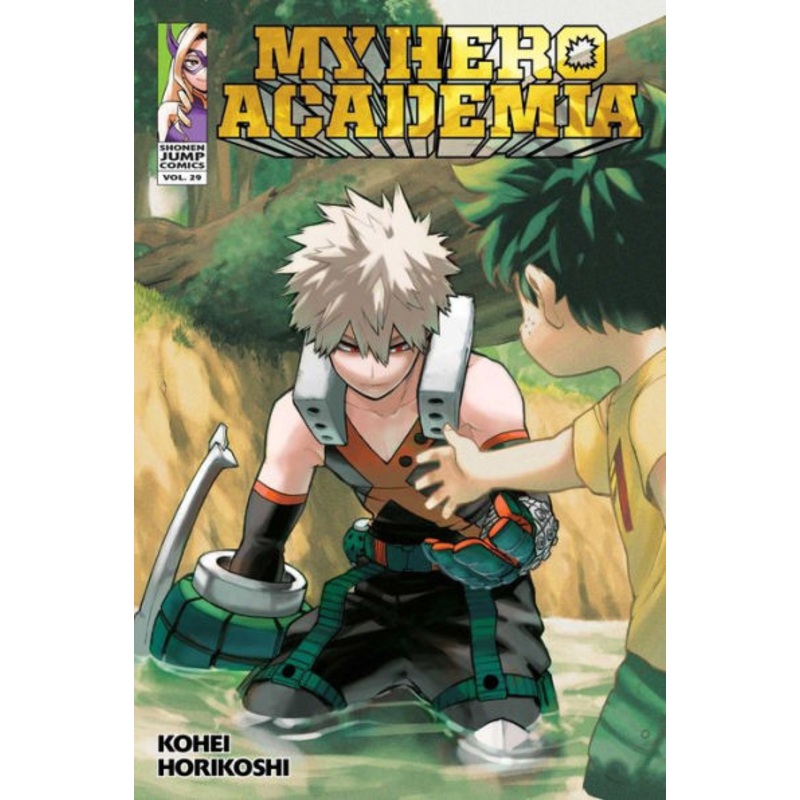 My Hero Academia, Vol. 29 Paperback