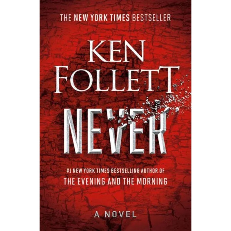 Never: A Novel Paperback