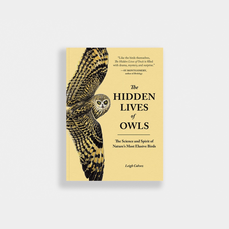 The Hidden Lives of Owls: Nature’s Most Elusive Birds