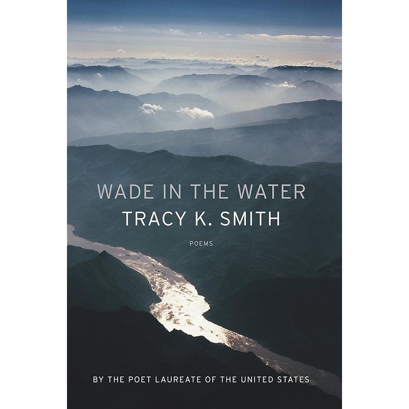 Wade in the Water: Poems
