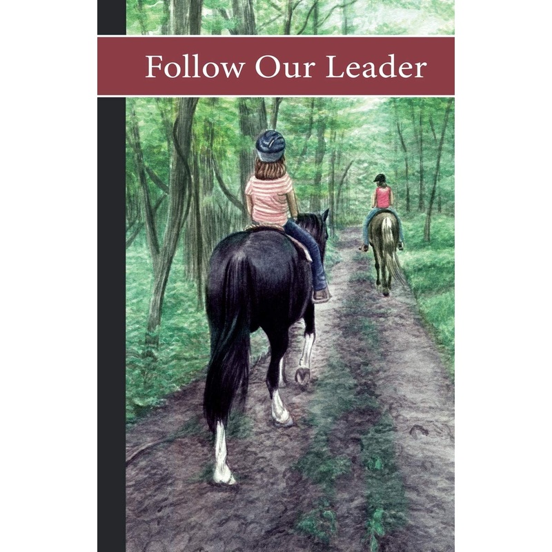 Sonrise Stable: Follow Our Leader Paperback