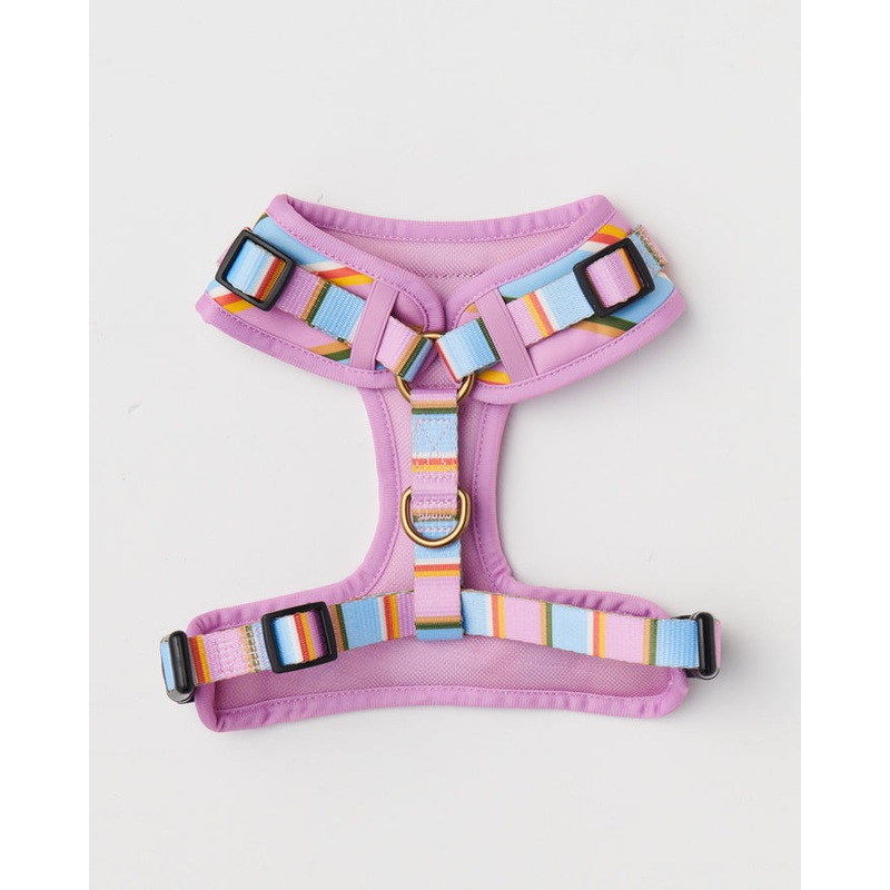 Fez Stripe Dog Harness Small