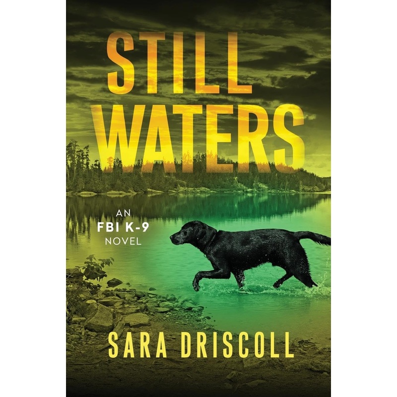 Still Waters: A Riveting Novel of Suspense Paperback