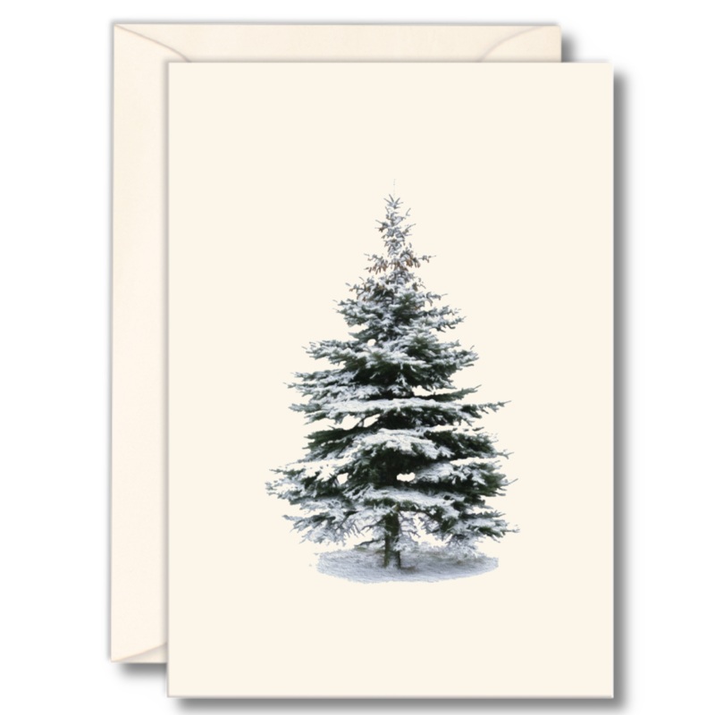 Winter Spruce