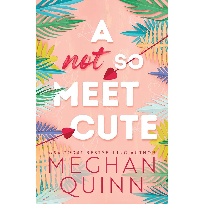 A Not So Meet Cute (Cane Brothers, 1)